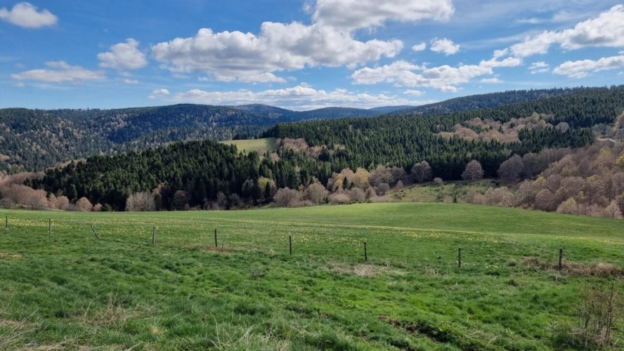 Photos 17 - Équestre - Propriété équestre sur 16 ha en montagne ardéchoise ?