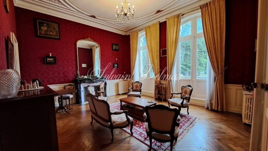 Photos 5 - Prestige - Propriete à vendre 50 pièces proche de TOURS (37)