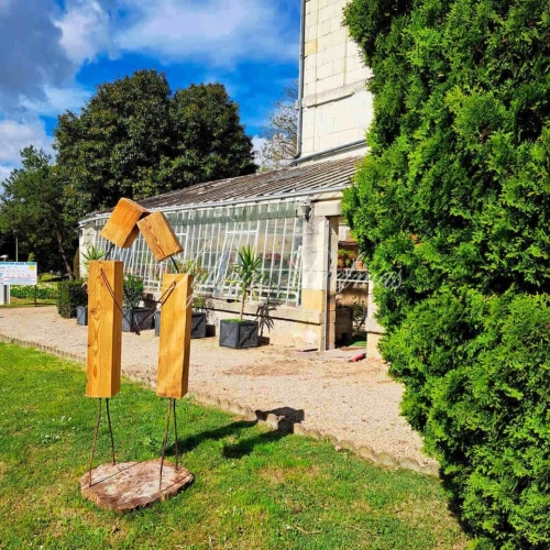 Photos 9 - Prestige - Propriete à vendre 50 pièces proche de TOURS (37)