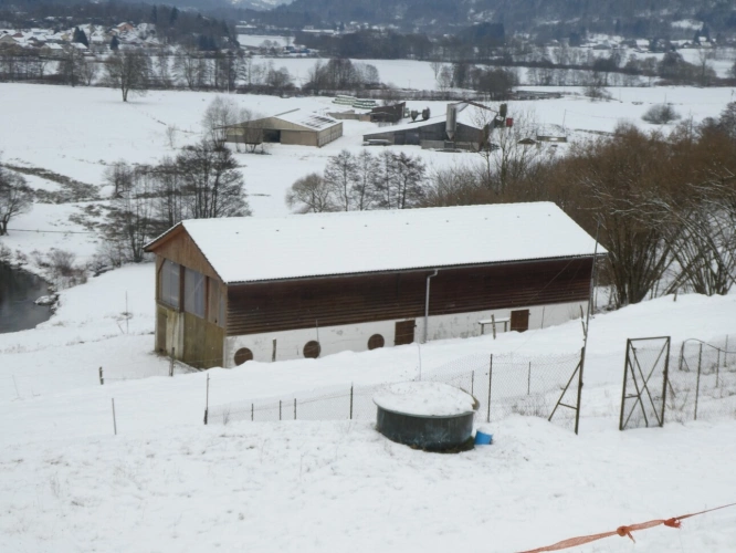 Photos 5 - Équestre - RUPT SUR MOSELLE (88)A vendre propriété T 10 pièces de 195m² sur sous sol + 4 box à chevaux +rucher, terrain 3.6 hectares
