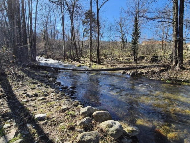 Photos 5 - Rurale - MAS DE CARACTERE 308M² au Coeur des Pyrénéen - Orientales