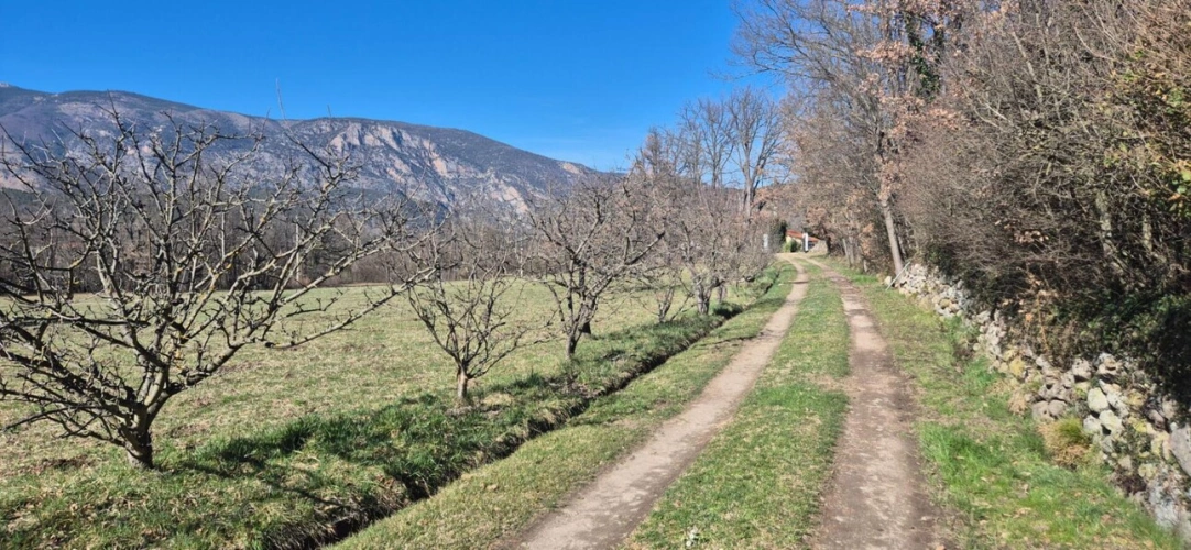 Photos 6 - Rurale - MAS DE CARACTERE 308M² au Coeur des Pyrénéen - Orientales