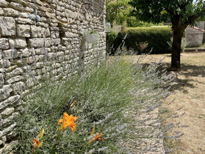 Photos 15 - Rurale - Maison du village avec du cachet, non-mitoyenne, grand terrain, tout à l'égout