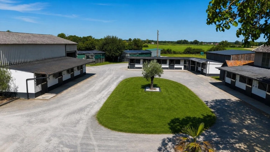 Photos 4 - Équestre - Propriété équestre avec maison d'habitation sur 7 ha