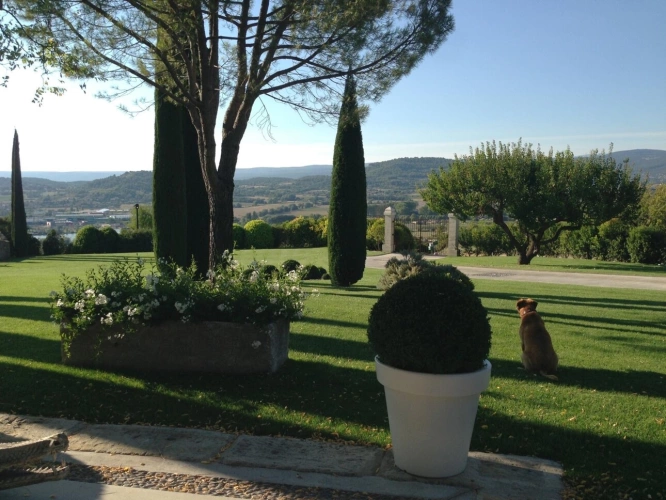 Photos 3 - Prestige - Domaine d'exception au cœur du Luberon