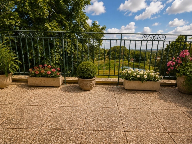 Photos 20 - Rurale - Propriete à vendre 9 pièces MIRECOURT (88) PROPRIÉTÉ D'EXCEPTION avec PISCINE sur TERRAIN clos et arboré de + de 6.500 m2