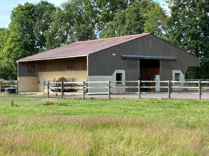 Photos 4 - Équestre - Tourgéville  Domaine d’exception de 5,6 hectares avec piscine
