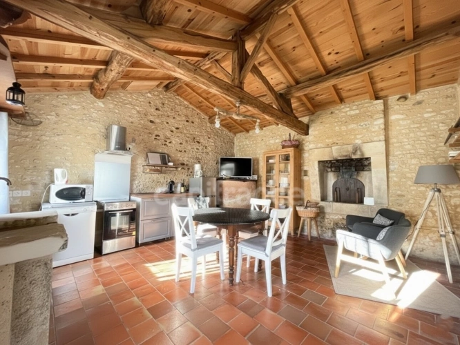 Photos 4 - Touristique - Domaine viticole avec activité touristique de 9,39 hectares - Vanzac (17)
