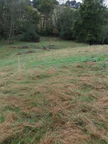 Photos 2 - Agricole - ORTHEZ – Terrains naturels et agricoles de 15 070 m²