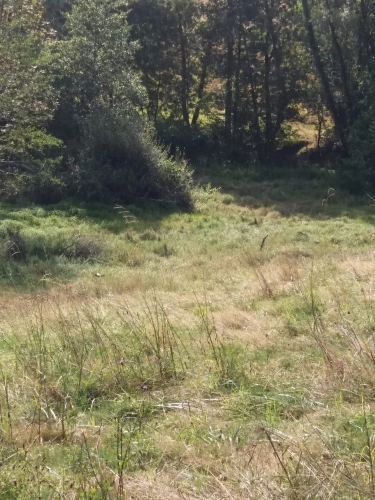 Photos 4 - Agricole - ORTHEZ – Terrains naturels et agricoles de 15 070 m²