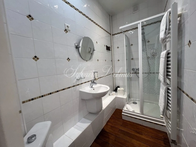 Photos 19 - Prestige - Propriete à vendre 32 pièces AMBOISE (37)