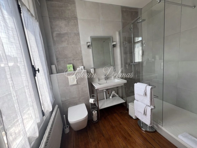 Photos 22 - Prestige - Propriete à vendre 32 pièces AMBOISE (37)