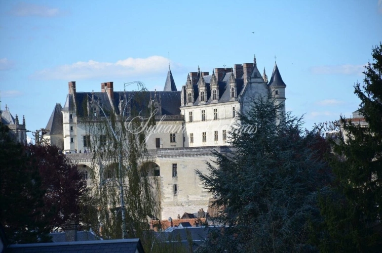 Photos 30 - Prestige - Propriete à vendre 32 pièces AMBOISE (37)