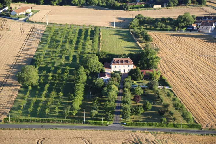 Photos 4 - Prestige - Dpt Indre et Loire (37), à vendre RICHELIEU Propriété P15 de 385,12m² -Terrain de 21142m²