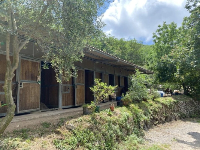 Photos 1 - Équestre - PROPRIÉTÉ ÉQUESTRE DE 6,5 HA - VENCE (06)