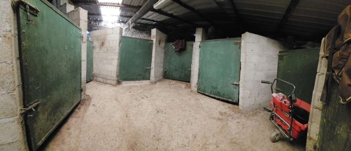 Photos 4 - Équestre - PROPRIÉTÉ ÉQUESTRE DE 6,5 HA - VENCE (06)