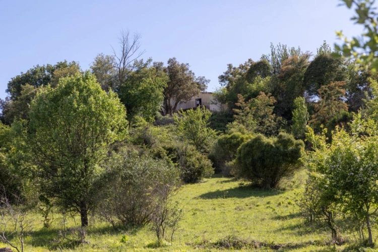 Photos 14 - Équestre - Propriété équestre d'exception sur 11ha