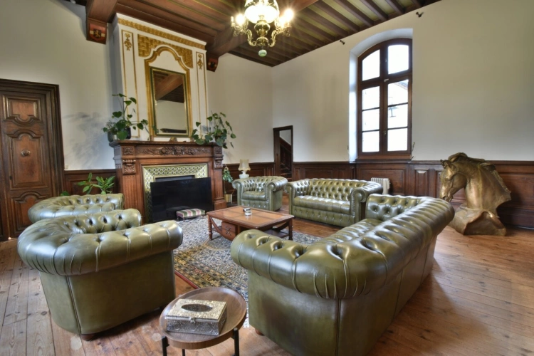 Photos 4 - Prestige - Propriete équestre et son château, à vendre 14 pièces LE TEMPLE SUR LOT (47)