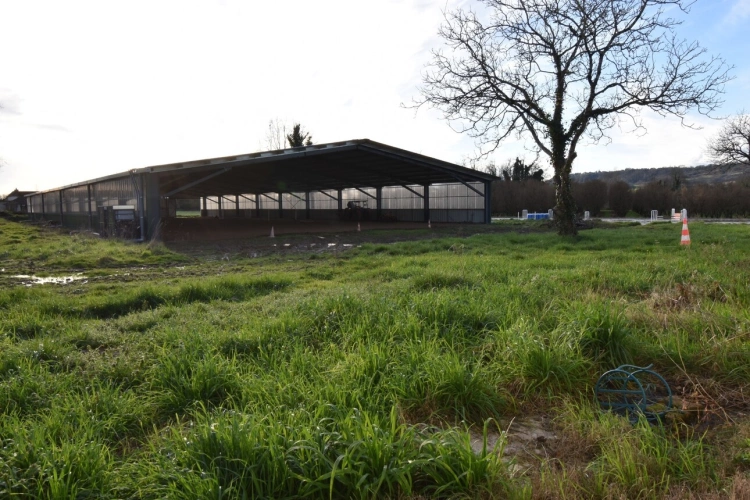 Photos 22 - Prestige - Propriete équestre et son château, à vendre 14 pièces LE TEMPLE SUR LOT (47)
