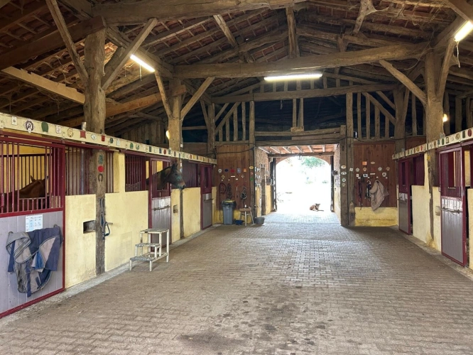 Photos 24 - Prestige - Propriete équestre et son château, à vendre 14 pièces LE TEMPLE SUR LOT (47)