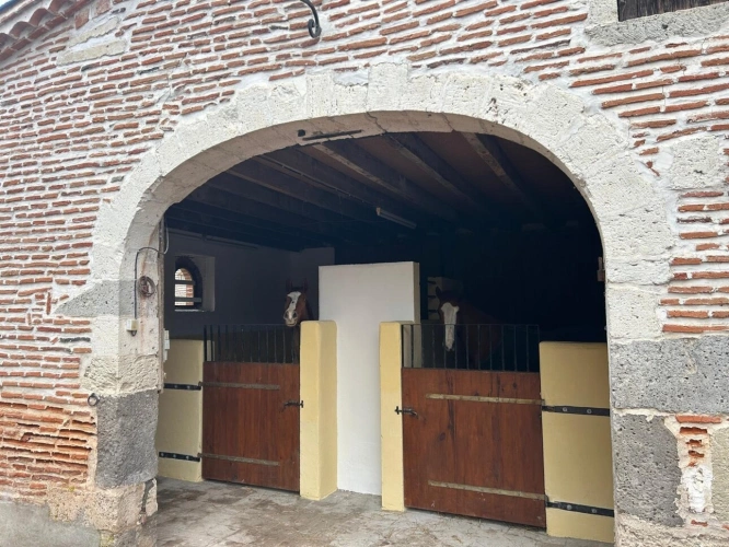 Photos 25 - Prestige - Propriete équestre et son château, à vendre 14 pièces LE TEMPLE SUR LOT (47)