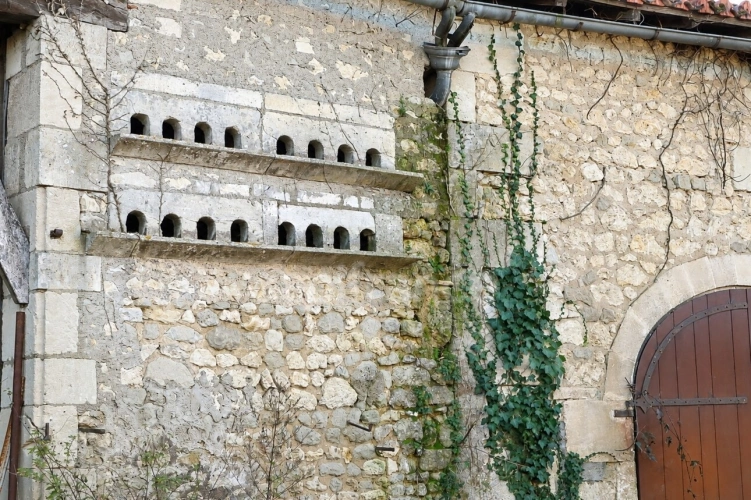 Photos 20 - Prestige - Un domaine n'appartient jamais tout à fait à ceux qui l'habitent, il se transmet - Bors (16)