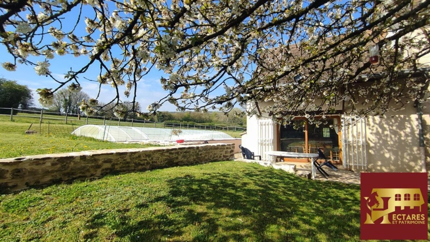 Photos 9 - Prestige - Propriété avec gîte et 3,6 ha