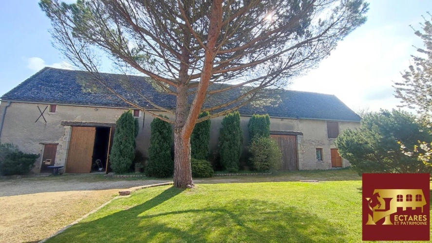 Photos 15 - Prestige - Propriété avec gîte et 3,6 ha