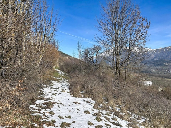 Photos 2 - Agricole - Terrain à vendre - La Fare-en-Champsaur - Environ 3 968 m²