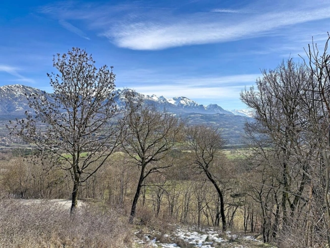 Photos 3 - Agricole - Terrain à vendre - La Fare-en-Champsaur - Environ 3 968 m²
