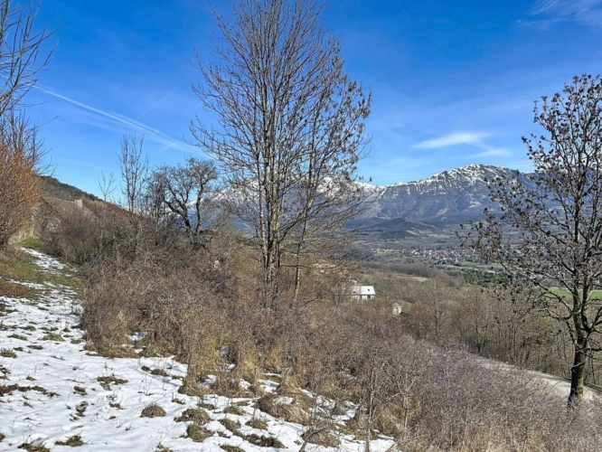 Photos 4 - Agricole - Terrain à vendre - La Fare-en-Champsaur - Environ 3 968 m²