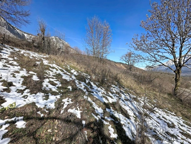 Photos 6 - Agricole - Terrain à vendre - La Fare-en-Champsaur - Environ 3 968 m²