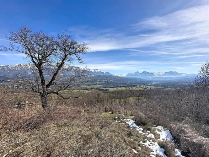 Photos 8 - Agricole - Terrain à vendre - La Fare-en-Champsaur - Environ 3 968 m²