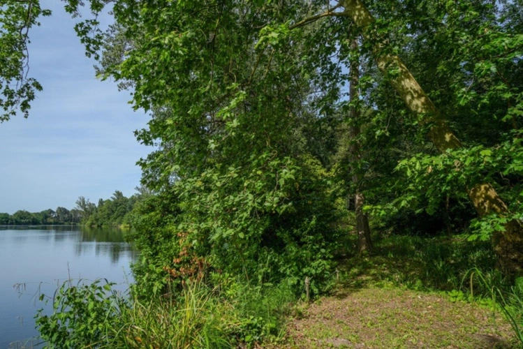 Photos 30 - Touristique - Propriete à vendre 14 pièces SAINTE LIVRADE SUR LOT (47)Sainte-Livrade-sur-Lot – Propriété de caractère à projets multiples en bord de rivière avec accès privatif au Lot
