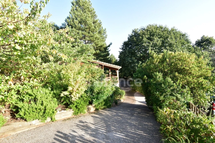 Photos 7 - Touristique - Dpt Corse (20), à vendre EVISA, propriété avec six chalets en bois, terrasse vue panoramique, piscine, parking