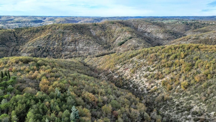 Photos 4 - Prestige - Propriété d'exception - Cahors
