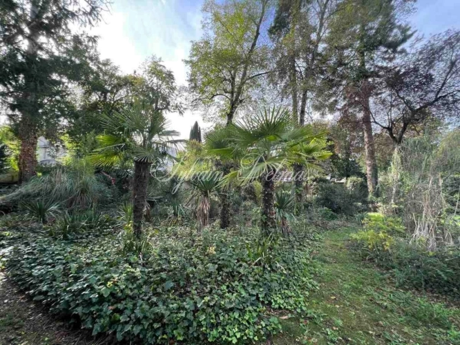 Photos 18 - Rurale - Propriete à vendre 25 pièces proche de POITIERS (86)