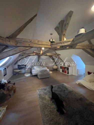 Photos 22 - Rurale - Propriete à vendre 0 pièces FONDETTES (37)