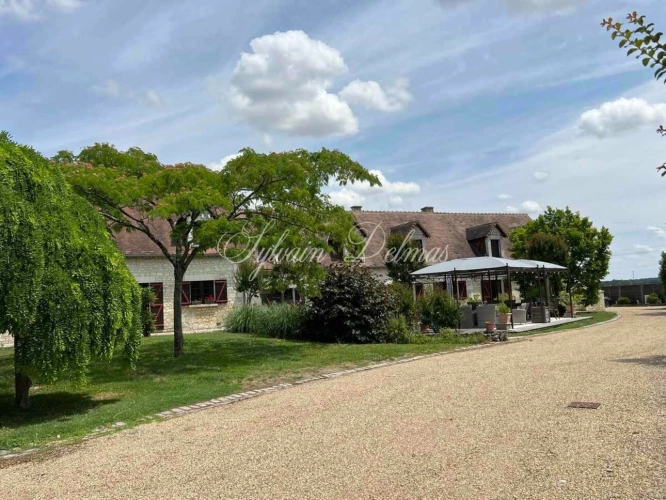 Photos 18 - Prestige - Propriete à vendre 45 pièces proche de TOURS (37)