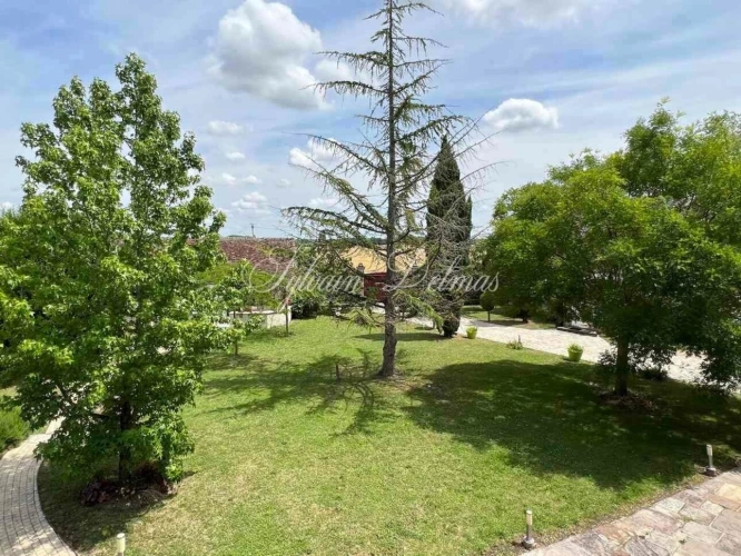 Photos 21 - Prestige - Propriete à vendre 45 pièces proche de TOURS (37)