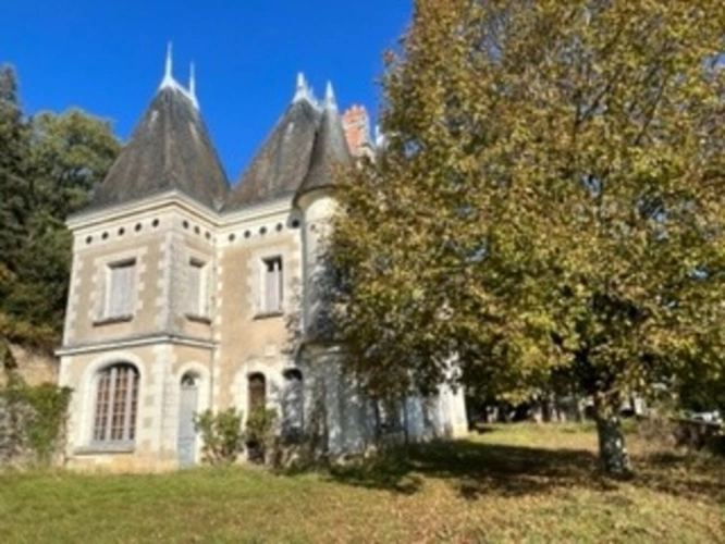 Photos 2 - Prestigious - Sublime château édifié au XVI°et remanié au XIX° surblomblant la vallée de la Loire entre Amboise et Tours