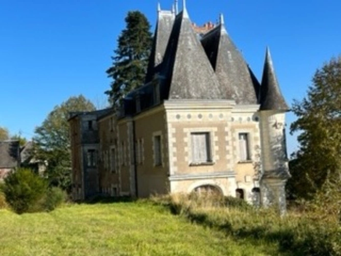 Photos 4 - Prestigious - Sublime château édifié au XVI°et remanié au XIX° surblomblant la vallée de la Loire entre Amboise et Tours