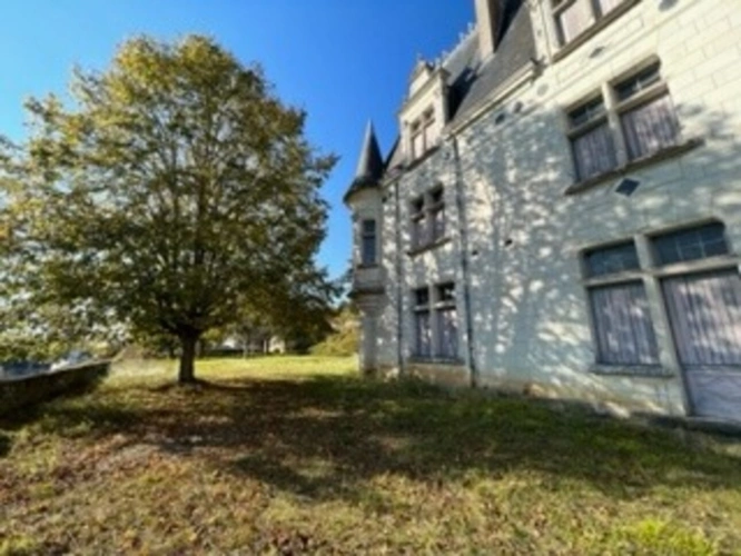 Photos 21 - Prestigious - Sublime château édifié au XVI°et remanié au XIX° surblomblant la vallée de la Loire entre Amboise et Tours