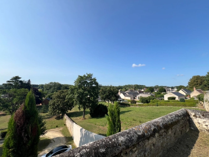Photos 25 - Prestigious - Sublime château édifié au XVI°et remanié au XIX° surblomblant la vallée de la Loire entre Amboise et Tours