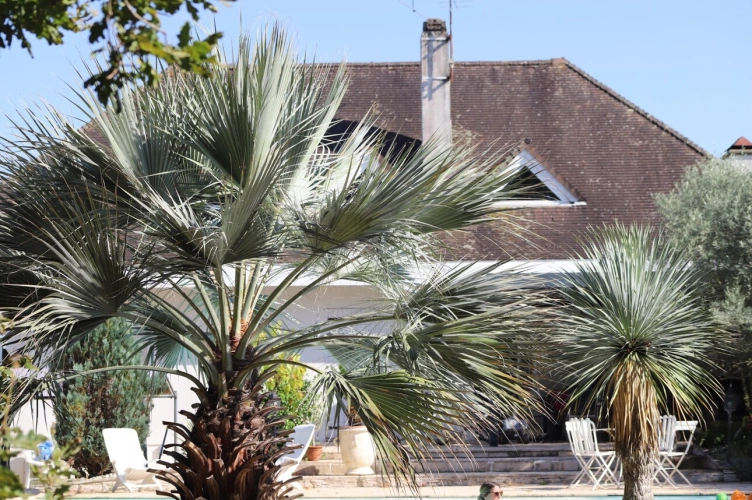 Photos 21 - Rurale - Propriété à vendre 8 pièces MONT DE MARSAN (40) de 210 m² proche commerces
