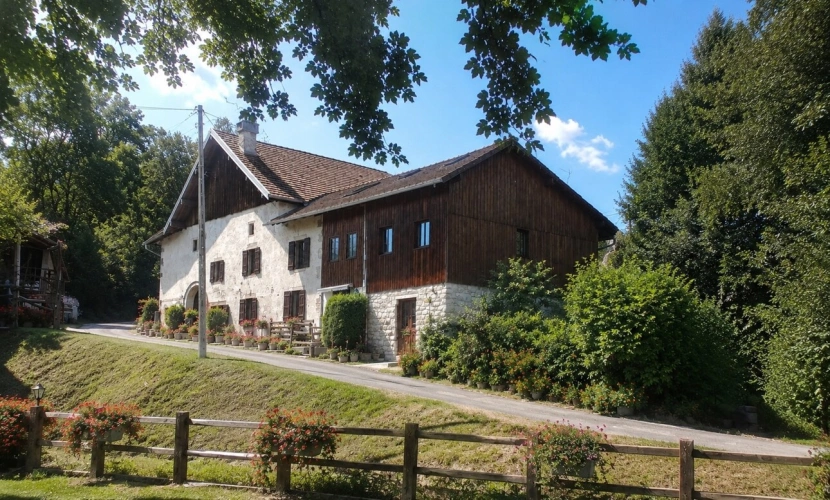 Photos 1 - Touristique - Dpt Vosges (88), à vendre proche GERARDMER - DOMAINE - FERME rénovée T6 + 3 GITES - Spe INVESTISSEURS
