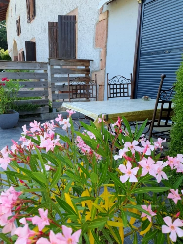 Photos 5 - Touristique - Dpt Vosges (88), à vendre proche GERARDMER - DOMAINE - FERME rénovée T6 + 3 GITES - Spe INVESTISSEURS