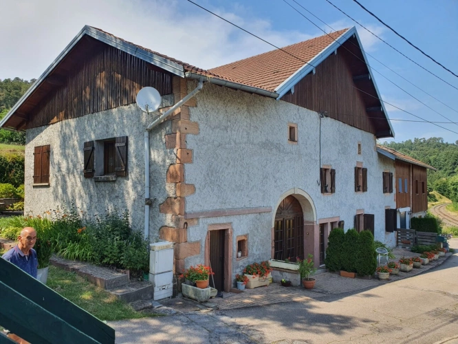 Photos 21 - Touristique - Dpt Vosges (88), à vendre proche GERARDMER - DOMAINE - FERME rénovée T6 + 3 GITES - Spe INVESTISSEURS