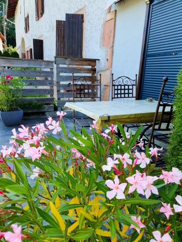 Photos 34 - Touristique - Dpt Vosges (88), à vendre proche GERARDMER - DOMAINE - FERME rénovée T6 + 3 GITES - Spe INVESTISSEURS