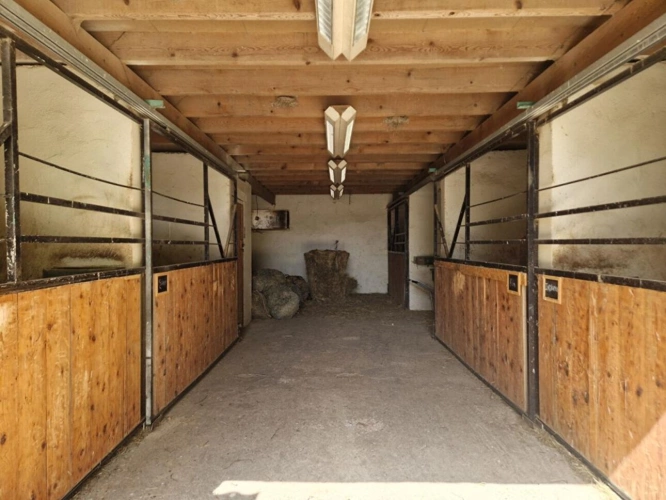 Photos 7 - Équestre - Centre équestre avec maison d'habitation, sur 16Ha